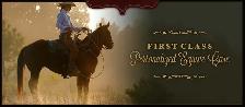 Stable Manager Wanted - Photo 3
