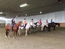 Stable Manager Wanted - Photo 6