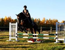 Stable Manager Wanted - Photo 8