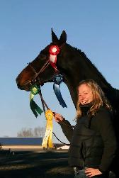 Stable Manager Wanted - Photo 10