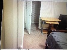 One large bedroom in a three bedroom basement in Timberlea $550
