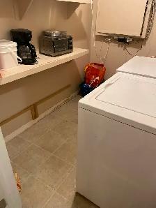 One large bedroom in a three bedroom basement in Timberlea $550 - Photo 2