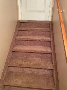 One large bedroom in a three bedroom basement in Timberlea $550 - Photo 4