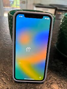 iPhone X
