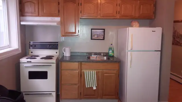 165 Queen #2 - Newly renovated 1 BR South, Parking, Laundry