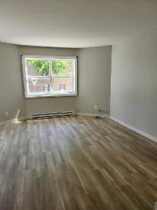 165 Queen #2 - Newly renovated 1 BR South, Parking, Laundry - Photo 4