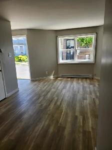 165 Queen #2 - Newly renovated 1 BR South, Parking, Laundry - Photo 6