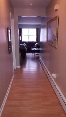 165 Queen #2 - Newly renovated 1 BR South, Parking, Laundry - Photo 7