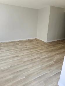 165 Queen #2 - Newly renovated 1 BR South, Parking, Laundry - Photo 8
