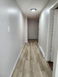 165 Queen #2 - Newly renovated 1 BR South, Parking, Laundry - Photo 10