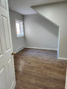165 Queen #2 - Newly renovated 1 BR South, Parking, Laundry - Photo 14