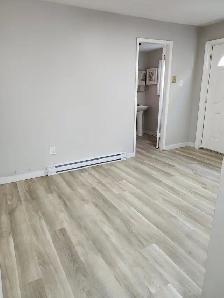 165 Queen #2 - Newly renovated 1 BR South, Parking, Laundry - Photo 18