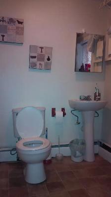 165 Queen #2 - Newly renovated 1 BR South, Parking, Laundry - Photo 19