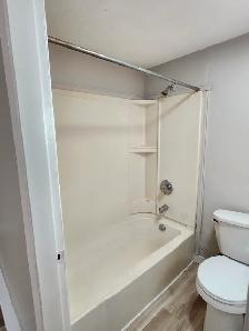 165 Queen #2 - Newly renovated 1 BR South, Parking, Laundry - Photo 24