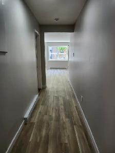 165 Queen #2 - Newly renovated 1 BR South, Parking, Laundry - Photo 25