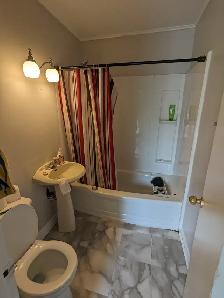 95 Wright - Bachelor Apartment North, H L included - Photo 4