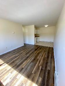 Fully Renovated 2BR - MacIntosh Pointe - Aug 1st - Heat/Water/Pk - Photo 2