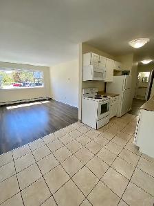 Fully Renovated 2BR - MacIntosh Pointe - Aug 1st - Heat/Water/Pk - Photo 3
