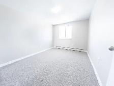 2 Bedroom Apartment in Tillsonburg - Main floor - all inclusive! - Photo 16
