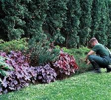 Cleaning, Landscaping, Handyman, Assistant-Senior Help Available - Photo 5