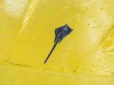 2026 Chevrolet Corvette 1LT - Photo 13