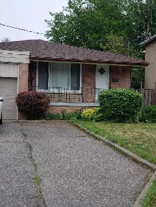 Bachelor basement apartment in North York $1520