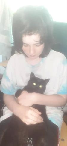 chaton noir à donner -- black kitten to give - Photo 4