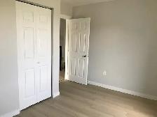 3 Bedroom - ALBERTON - Photo 4