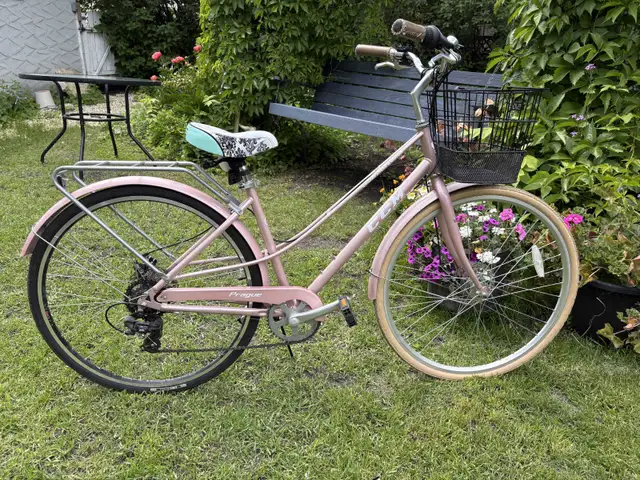 Pink Cruiser Bike, 7 Speed – $100