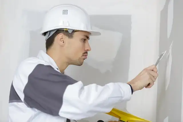 Professional Painter Painters Painting Renovation 647692.0562