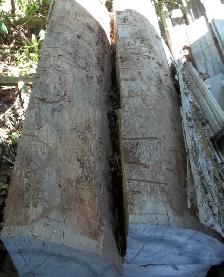 Rock Elm : Make your own axe / hatchet /  hammer handles