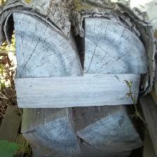 Rock Elm : Make your own axe / hatchet /  hammer handles - Photo 2