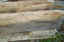 Rock Elm : Make your own axe / hatchet /  hammer handles - Photo 3