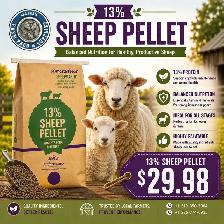 13% Sheep Ration Pellets