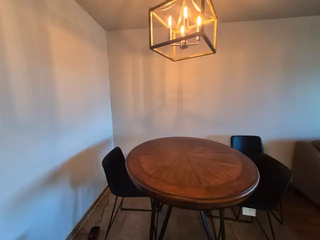 Large, modern round dining table and chairs