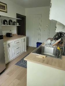 Beautiful,Enormous, Newly Renovated 3 Bedroom   Den in High Park - Photo 2