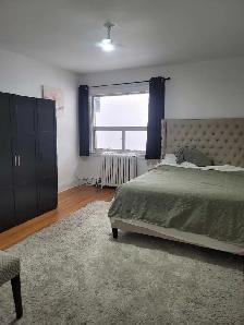 Beautiful,Enormous, Newly Renovated 3 Bedroom   Den in High Park - Photo 7