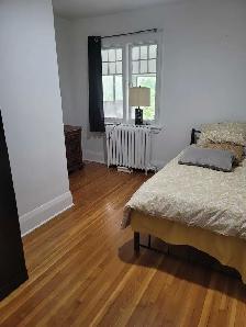 Beautiful,Enormous, Newly Renovated 3 Bedroom   Den in High Park - Photo 8