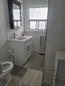 Beautiful,Enormous, Newly Renovated 3 Bedroom   Den in High Park - Photo 9