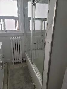 Beautiful,Enormous, Newly Renovated 3 Bedroom   Den in High Park - Photo 10