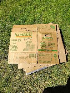 Moving boxes - Photo 2