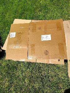 Moving boxes - Photo 3