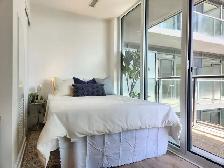 Newer Condo for Rent Downtown Jr 1 Bedroom - Photo 3