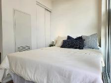 Newer Condo for Rent Downtown Jr 1 Bedroom - Photo 4