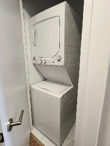 Newer Condo for Rent Downtown Jr 1 Bedroom - Photo 6