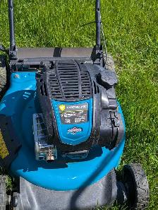 725cc yard work lawnmower for sale