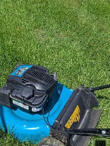 725cc yard work lawnmower for sale - Photo 3