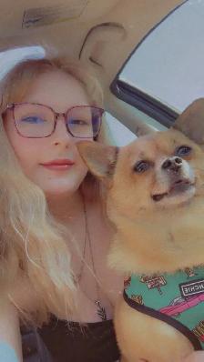 Dog walking/pet sitting