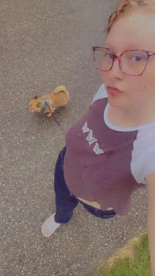Dog walking/pet sitting - Photo 2
