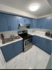 1B 1B basement apartment for rent - Scarborough/Morningside U - Photo 2